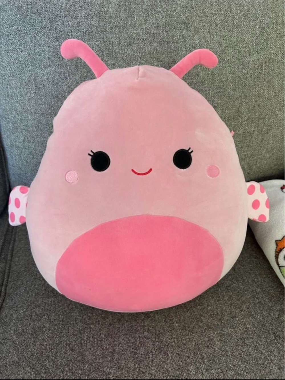 Squishmallows Pink Plush Ladybug